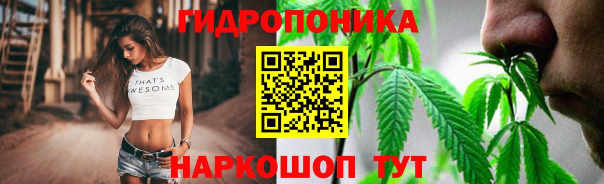 Каннабис планчик Сосновоборск